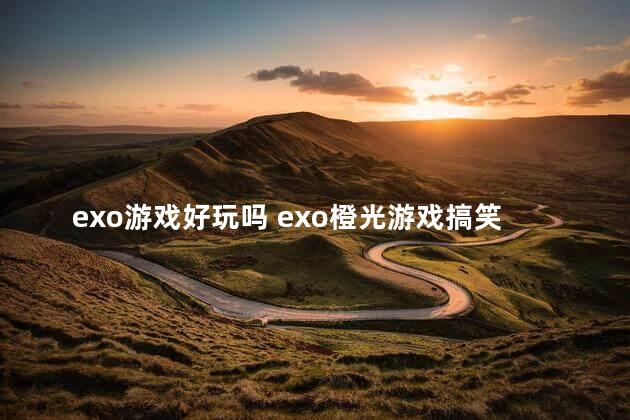 exo游戏好玩吗 exo橙光游戏搞笑系列